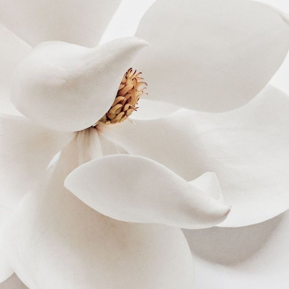 Meet your Posher, Madelaine